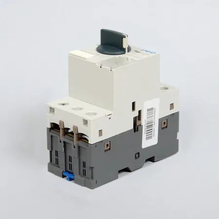 Автоматический выключатель защиты двигателя NS2-25X 4-6.3А с поворотной ручкой, Chint, ch495184