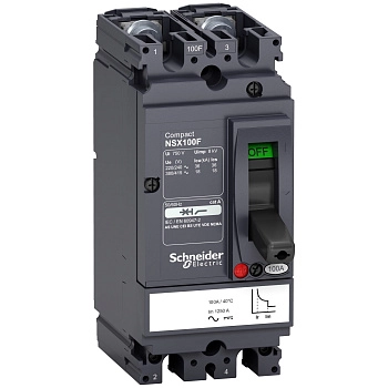 LV438600 | Автоматический выключатель NSX100F TM-D 2P2d 100A 36кА, Schneider Electric