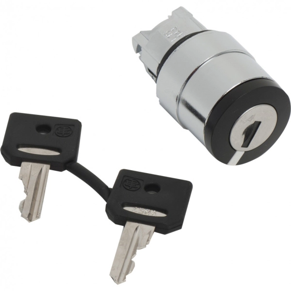 ZB4BG410 | Головка для переключателя 22мм, с ключем, Schneider Electric