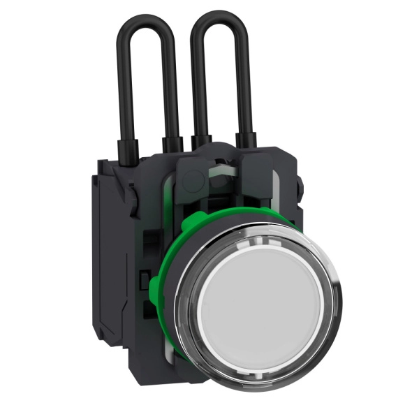 XB5AW21B5 | Кнопка с подсветкой 24В AC/DC, с возвратом, белая, Schneider Electric