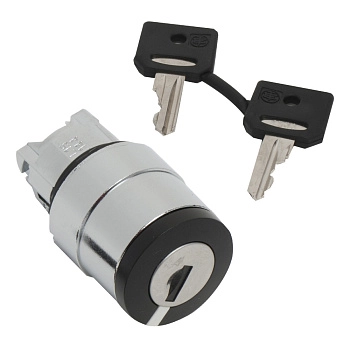 ZB4BG310 | Головка для переключателя 22мм, с ключем, Schneider Electric