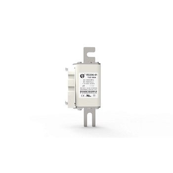 RS306-3-T5Z-450A1250V | Предохранитель 450 А, 1250 В АС/ 1000 B DC, aR, габ 2, под болт, 107 мм, Sinofuse 