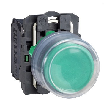 XB5AP31 | Кнопка с колпачком без подсветки, с возвратом, 1НО, зелёная, Schneider Electric