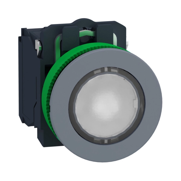 XB5FW31B5C0 | Кнопка с подсветкой 24В AC/DC, с возвратом, 1НО+1НЗ, белая, C0, Schneider Electric
