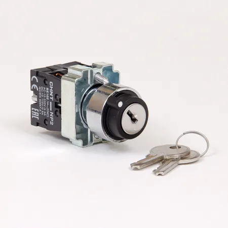 573988 | Переключатель NP2-BG25, 2 положения, фиксация, 1НО+1НЗ, IP40, Chint