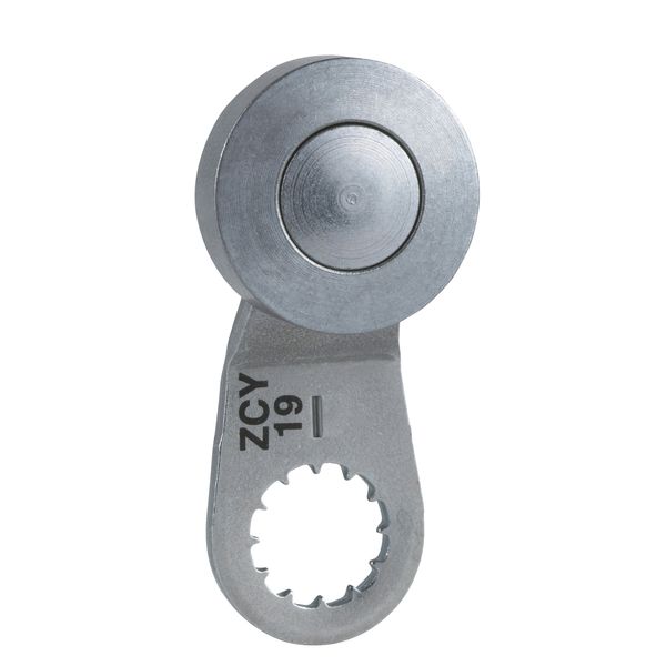 ZCY19 | Стальной роликовый рычаг, Schneider Electric