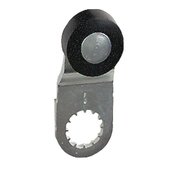 ZCY18 | Термопластиковый роликовый рычаг, Schneider Electric