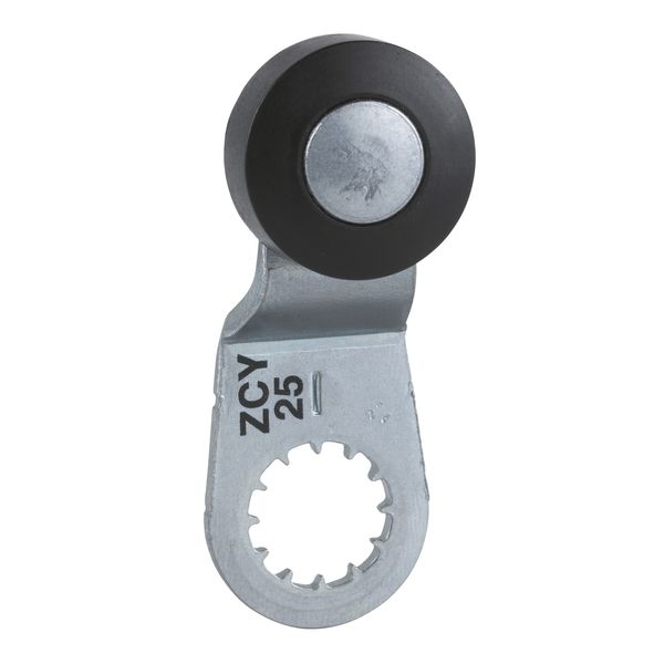 ZCY25 | Термопластиковый роликовый рычаг, Schneider Electric