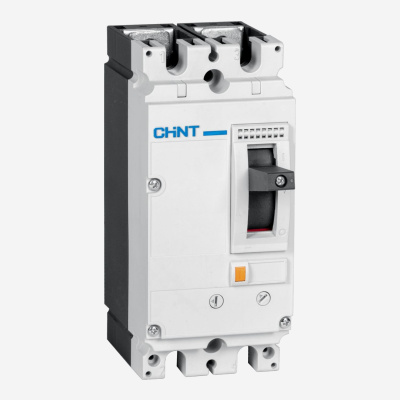 271170 | Автоматический выключатель NM8N-250S TM 2P 250А 50кА с регулируемым термомагнитным расцепителем, Chint