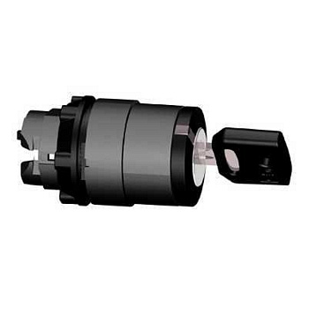 ZB5AG02K | Головка переключателя с уникальным ключом, Schneider Electric