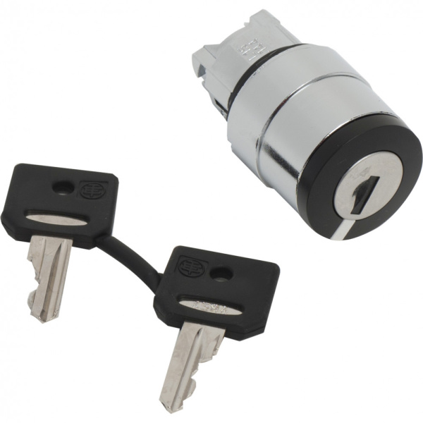 ZB4BG410 | Головка для переключателя 22мм, с ключем, Schneider Electric