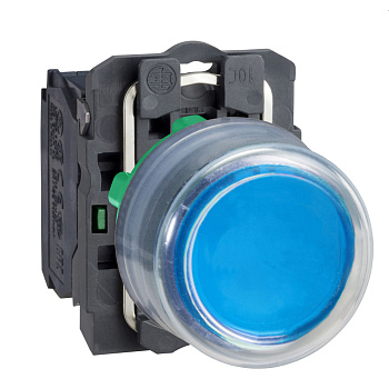 XB5AP61 | Кнопка с колпачком без подсветки, с возвратом, 1НО, синяя, Schneider Electric