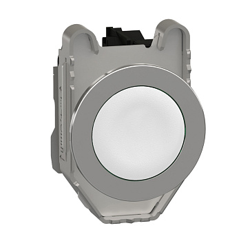 XB4FA11 | Кнопка без подсветки с возвратом, белая, 1НО, Schneider Electric