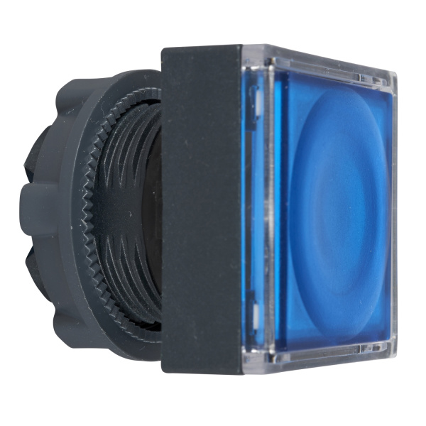 ZB5CW363 | Головка кнопки с подсветкой, квадратная, синяя, Schneider Electric