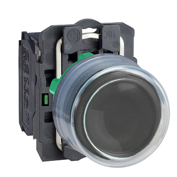 XB5AP21 | Кнопка с колпачком без подсветки, с возвратом, 1НО, чёрная, Schneider Electric