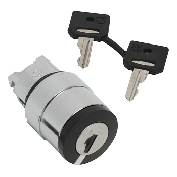 ZB4BG310 | Головка для переключателя 22мм, с ключем, Schneider Electric
