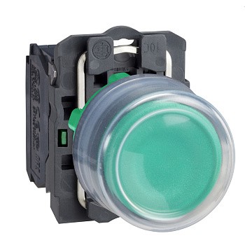 XB5AP31 | Кнопка с колпачком без подсветки, с возвратом, 1НО, зелёная, Schneider Electric