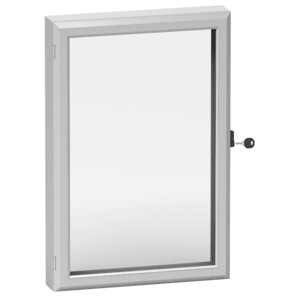 NSYCW54 | Дверь с прозрачным окном 500x400 мм, Schneider Electric