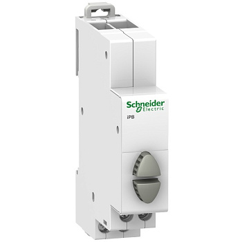A9E18035 | Кнопка iPB серая/серая 1НО/1НО, Schneider Electric