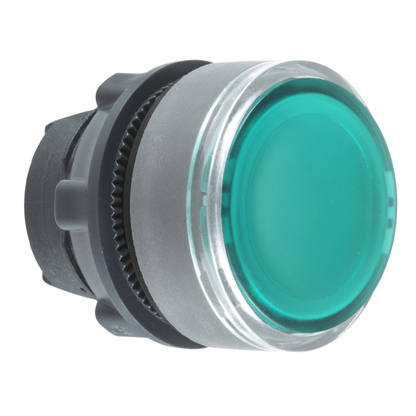 ZB5AA38C0 | Головка кнопки, зеленая, для вставки маркировки, С0, Schneider Electric