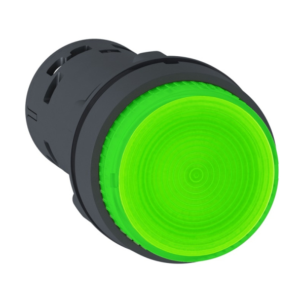 XB7NW33B1 | Кнопка с возвратом с подсветкой 24В AC/DC, зелёная, 1НО, Schneider Electric