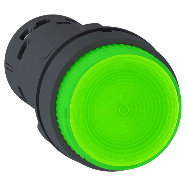 XB7NW3361 | Кнопка с подсветкой, 230В AC с возвратом, зелёная, 1НО, Schneider Electric